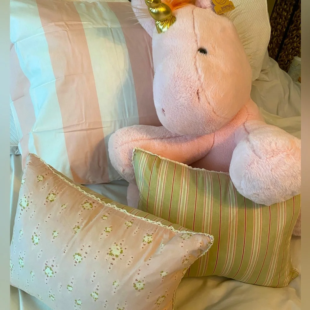 Set of 2 Boutique Feather filled pillows for Nursery or Child’s room 12x16
